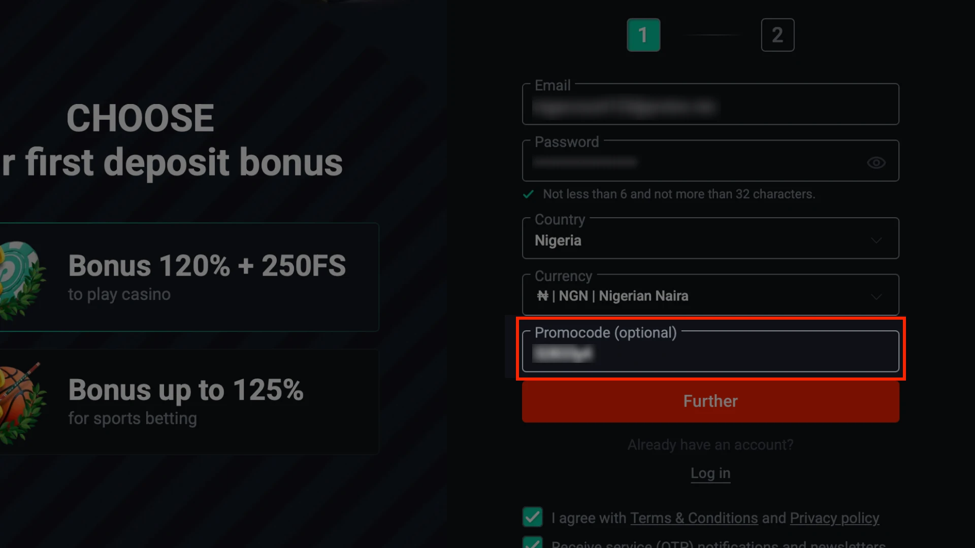 Enter the Promo Code